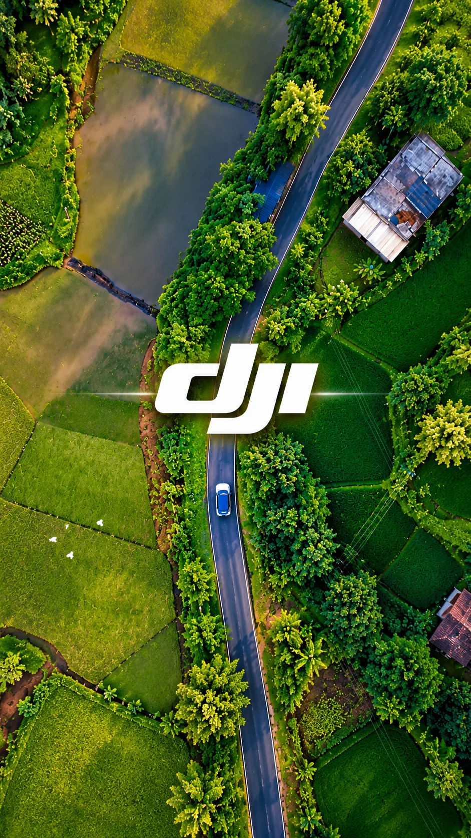 Aerial view of a winding road among green fields